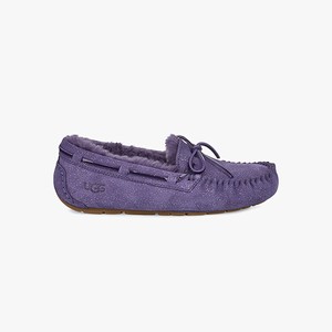 Ugg Dakota Twinkle Women Slippers Purple (1590RVEQX)